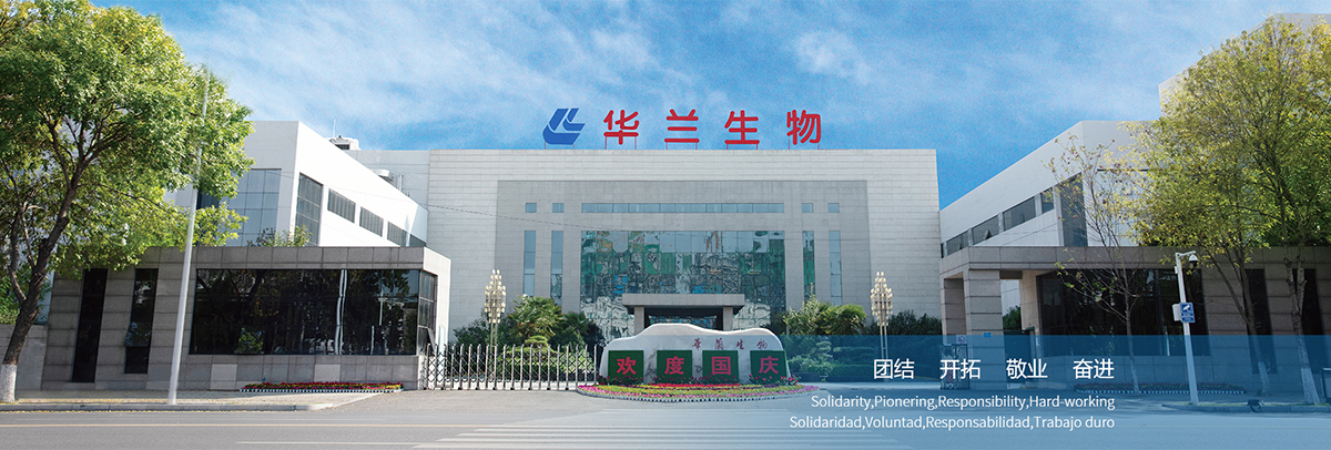 华兰疫苗流感车间公用工程安装